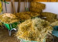 Hay storage in a barn, bales of hay, agriculture background, farm equipment Royalty Free Stock Photo