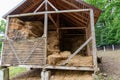 hay storage barn with green trees in the background Royalty Free Stock Photo