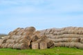 Hay storage with harvested bales of hay for cattle