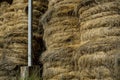 The hay storage shed full of bales on farm, Rural land cowshed farm Royalty Free Stock Photo