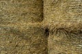 The hay storage shed full of bales on farm, Rural land cowshed farm Royalty Free Stock Photo