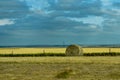 Hay Straw Bale Farm Field