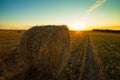 Hay Straw Bale On Field In Countryside At Sunset. Royalty Free Stock Photo