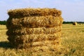 Hay Straw Bale On Agricultural Field, Hay Roll At Autumn Season Royalty Free Stock Photo