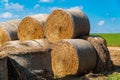 Hay and straw bales. Haystacks for livestock feed for horses. Agriculture