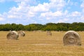 hay straw feed bail bails grass pasture fodder farm harvest farming landscape agricultural background