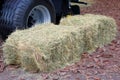 Hay and straw next to the truck. Hay for cows, horses, goats and sheep. ÃÂgricultural, harvest and farming concept