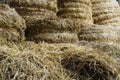 Hay and straw procured for cattle Royalty Free Stock Photo