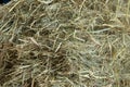 Hay strows backgroind closeup Royalty Free Stock Photo