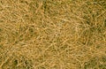 Hay Texture Background Royalty Free Stock Photo