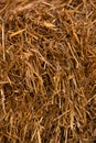 Hay texture. Hay bales are stacked in large stacks. Harvesting in agriculture. Straw texture. Yellow grass background.Alternative Royalty Free Stock Photo