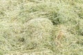 Hay texture. Hay bales are stacked in large stacks. Harvesting in agriculture Royalty Free Stock Photo