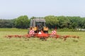 Hay truning to dry grass in the sun on the field in the Netherlands Royalty Free Stock Photo