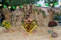 Hay with vegetables. beautifully decorated photo area.