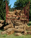 Hay wagon Royalty Free Stock Photo