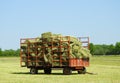 First cutting square hay bales in red hay wagon Royalty Free Stock Photo