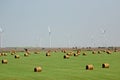 Hay and wind farm