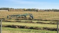 Hay Windrow Machine Royalty Free Stock Photo