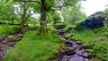 Waterfall and ford on the country lane near Pennant below Gospel Pass and Lord Hereford`s Knob, near Hay-on-Wye, Wales Royalty Free Stock Photo