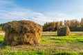 Haybale at a field with green grass. Autumn landscape