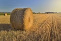 Haybale in a field at sunset