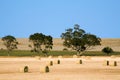 Haybales Royalty Free Stock Photo