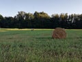 Haybales close up with cut field crops and fields