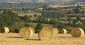 Haybales cornfield agricultural landscape Royalty Free Stock Photo