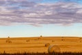 Haybales in fall fields. Wheatland County, Alberta, Canada Royalty Free Stock Photo