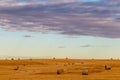 Haybales in fall fields. Wheatland County, Alberta, Canada Royalty Free Stock Photo