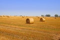 Haycock field Royalty Free Stock Photo