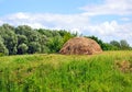 Haycock standing on the green field Royalty Free Stock Photo