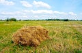 Haycock on summer meadow Royalty Free Stock Photo