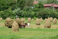 Haycock work land Royalty Free Stock Photo