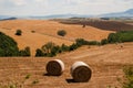 Haycocks on the field in Tuscany, Italy