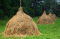 Haycocks