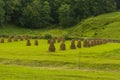 Haycocks Haystacks arranged in a field in the Bucovina