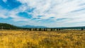 Hayden Valley, Yellowstone National Park