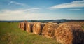 Hayfield. Hay harvesting Sunny autumn landscape. rolls of fresh dry hay in the fields. tractor collects mown grass. fields of
