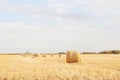 Hayfield landscape on sunny day Royalty Free Stock Photo