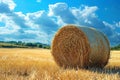 Hayfield serenity Landscape with a solitary hay bale under blue Royalty Free Stock Photo