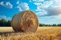 Hayfield serenity Landscape with a solitary hay bale under blue Royalty Free Stock Photo