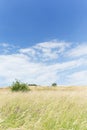 Hayfield on a sunny day Royalty Free Stock Photo