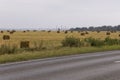 Hayfield. There are many stacks around. Meadow in the early autumn. Dry plants around. Gold colors. Green forest far away. Dark he Royalty Free Stock Photo