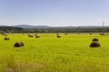 Hayfield. There are many stacks around. Meadow in the hot summer. Plants around. Green forest and mountains far away. Blue heaven Royalty Free Stock Photo