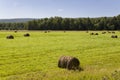 Hayfield. There are many stacks around. Meadow in the hot summer. Plants around. Green forest and mountains far away. Blue heaven Royalty Free Stock Photo