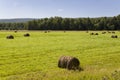 Hayfield. There are many stacks around. Meadow in the hot summer. Plants around. Green forest and mountains far away. Blue heaven