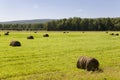 Hayfield. There are many stacks around. Meadow in the hot summer. Plants around. Green forest and mountains far away. Blue heaven Royalty Free Stock Photo