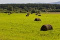 Hayfield. There are many stacks around. Meadow in the hot summer. Plants around. Green forest and mountains far away. Blue heaven Royalty Free Stock Photo