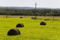 Hayfield. There are many stacks around. Meadow in the hot summer. Plants around. Green forest and mountains far away. Blue heaven Royalty Free Stock Photo